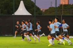 汉军新援积极适应训练，将在与申花的比赛中亮相的简单介绍