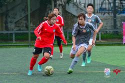 体育界女子足球比赛成为广受观众喜爱项目