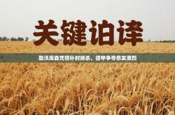 勒沃库森凭借补时绝杀，德甲争夺愈发激烈