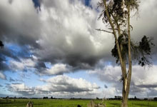 印度尼西亚亚运会闭幕拿下第三名，印尼亚运会赛程