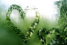 西雅图海湾者焦点战役引爆球迷期待