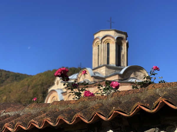 马其顿队取胜阿尔巴尼亚队波兰队遭遇失利