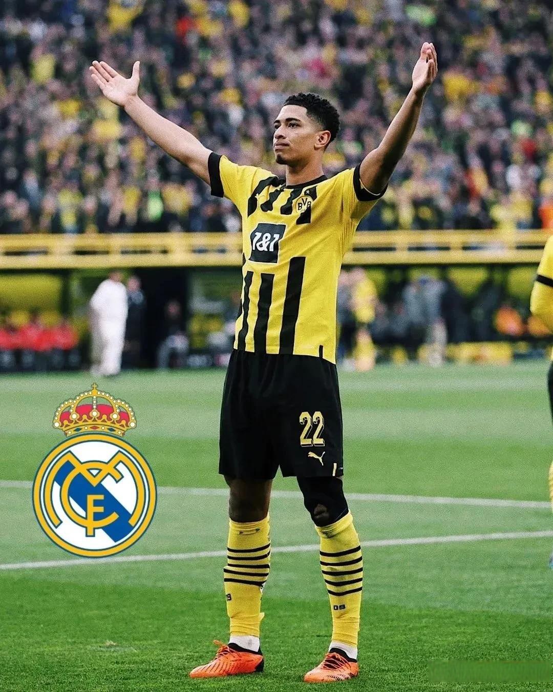 皇家马德里履新主教练，打造新时代的简单介绍