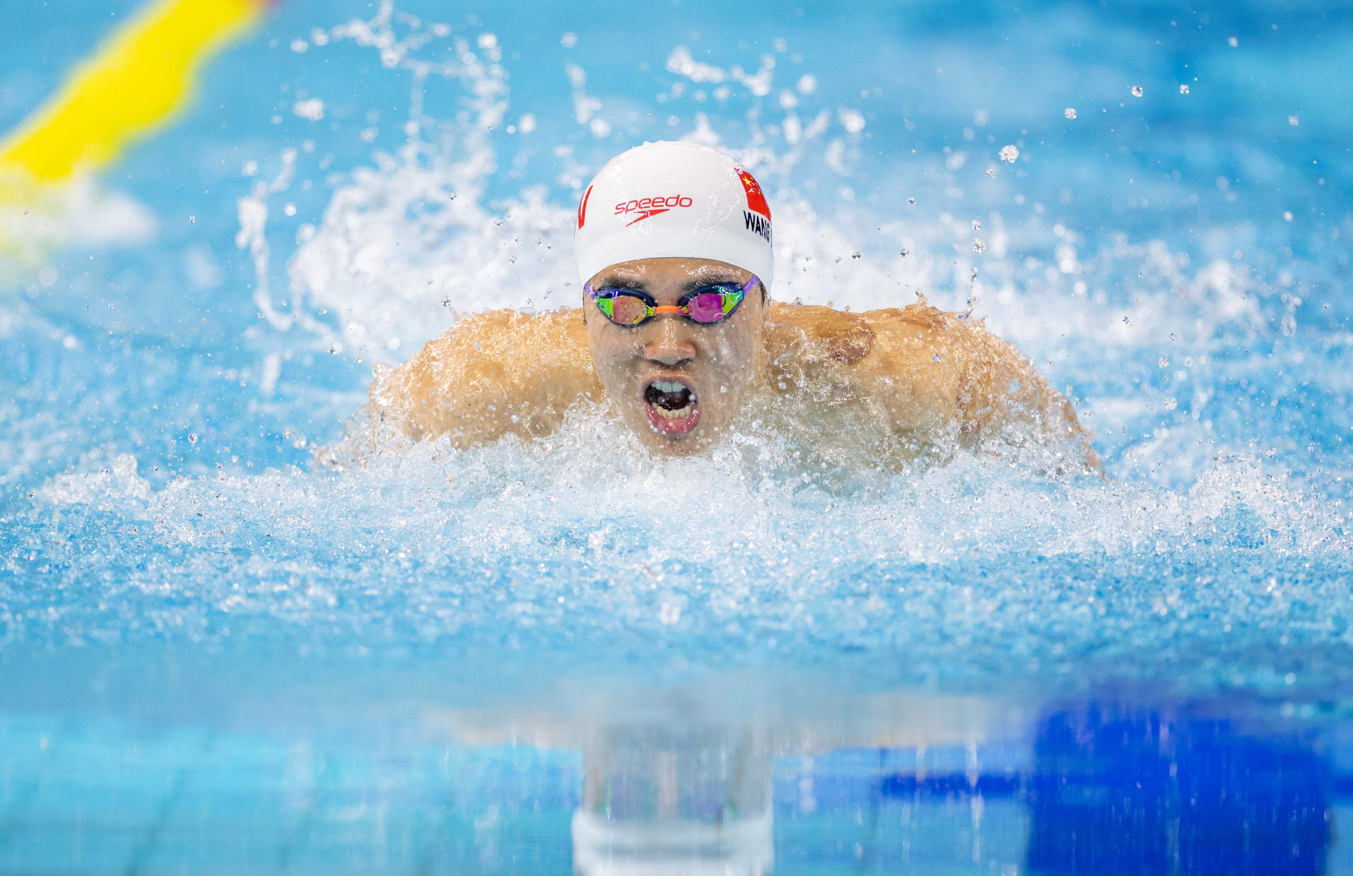 加拿大游泳冠军赛争夺金牌精彩纷呈